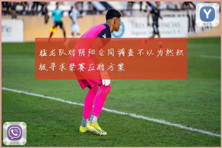 猛龙队对阴阳合同调查不以为然积极寻求禁赛应对方案