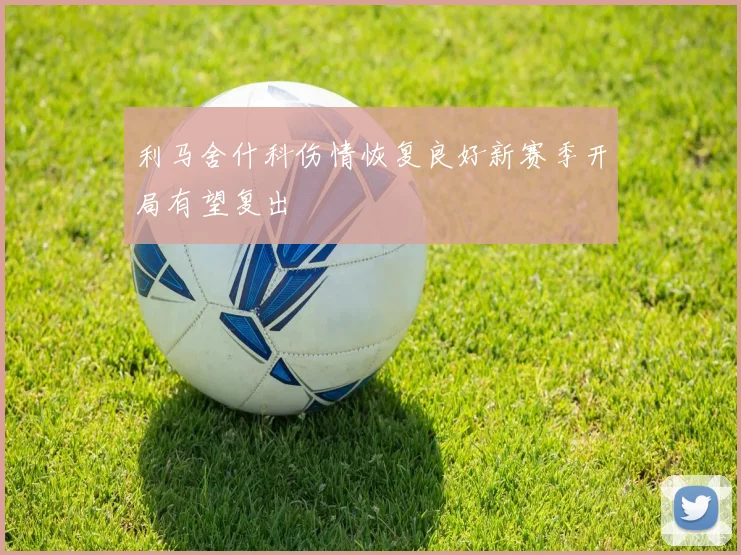 利马舍什科伤情恢复良好新赛季开局有望复出